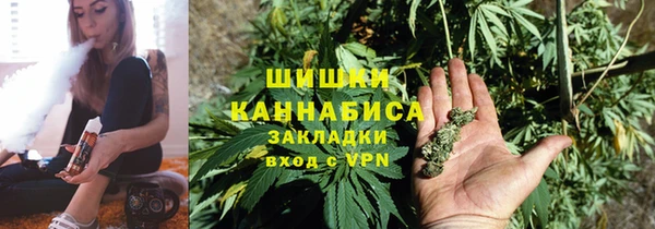 гидропоника Алзамай