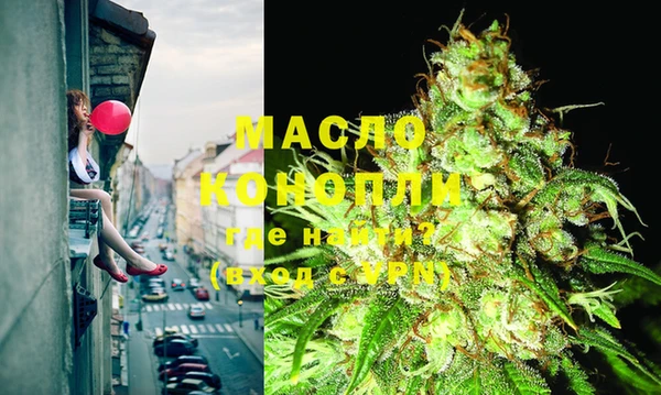 гидропоника Алзамай